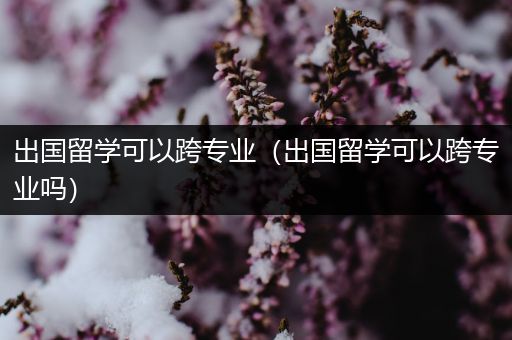 出国留学可以跨专业（出国留学可以跨专业吗）