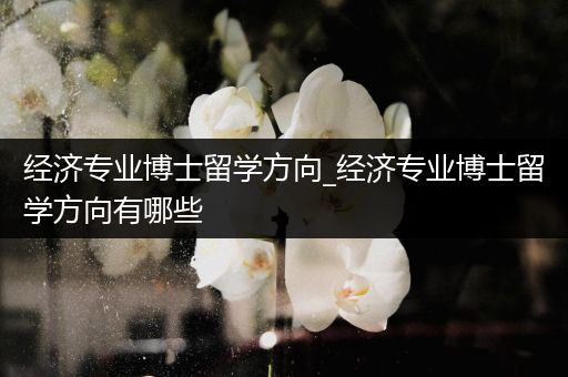 经济专业博士留学方向_经济专业博士留学方向有哪些