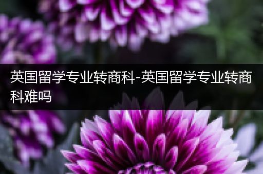 英国留学专业转商科-英国留学专业转商科难吗