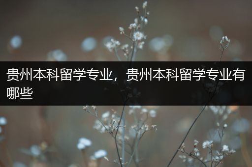 贵州本科留学专业，贵州本科留学专业有哪些