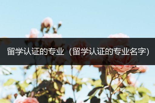 留学认证的专业（留学认证的专业名字）