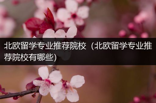 北欧留学专业推荐院校（北欧留学专业推荐院校有哪些）