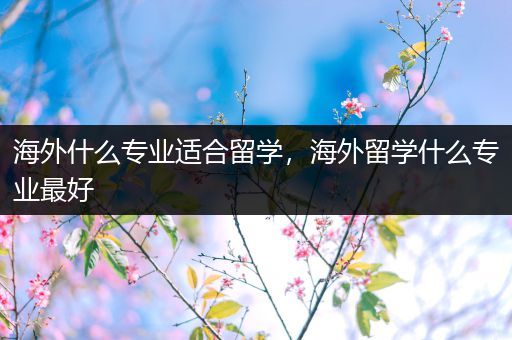 海外什么专业适合留学，海外留学什么专业最好