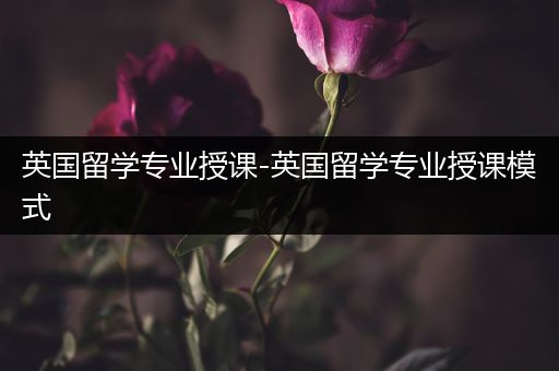 英国留学专业授课-英国留学专业授课模式