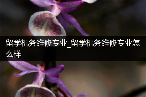 留学机务维修专业_留学机务维修专业怎么样