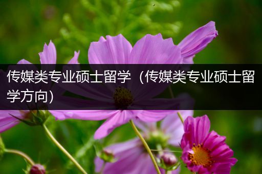 传媒类专业硕士留学（传媒类专业硕士留学方向）