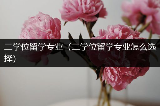 二学位留学专业（二学位留学专业怎么选择）