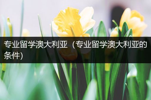 专业留学澳大利亚（专业留学澳大利亚的条件）