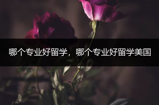 哪个专业好留学，哪个专业好留学美国