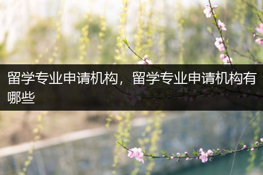 留学专业申请机构，留学专业申请机构有哪些