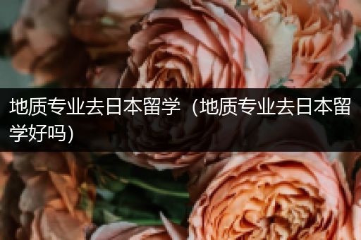 地质专业去日本留学（地质专业去日本留学好吗）