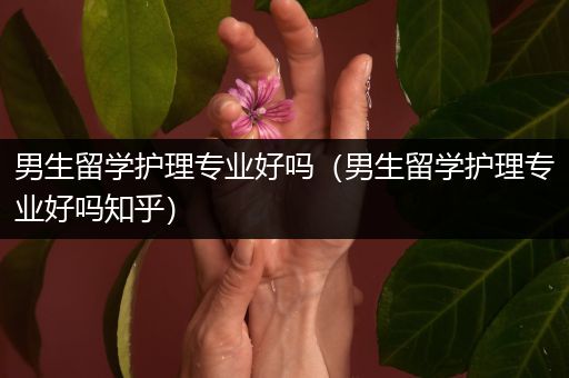 男生留学护理专业好吗（男生留学护理专业好吗知乎）