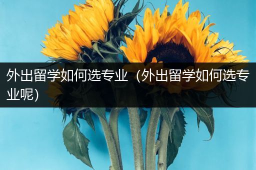 外出留学如何选专业（外出留学如何选专业呢）