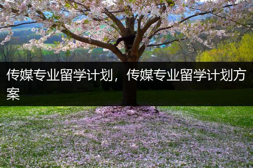 传媒专业留学计划，传媒专业留学计划方案