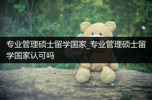 专业管理硕士留学国家_专业管理硕士留学国家认可吗