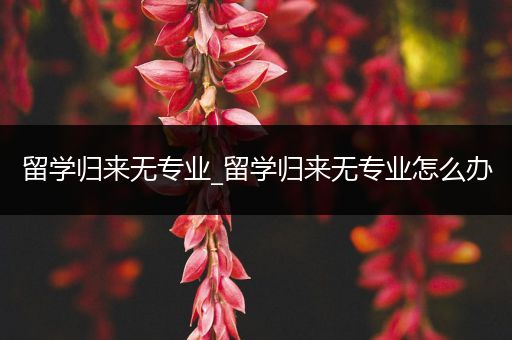 留学归来无专业_留学归来无专业怎么办