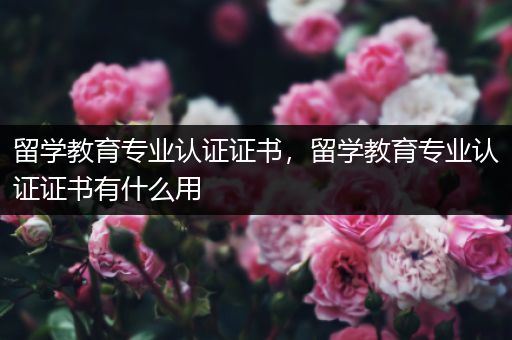 留学教育专业认证证书，留学教育专业认证证书有什么用