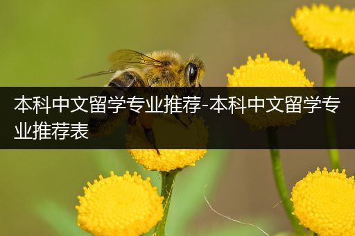 本科中文留学专业推荐-本科中文留学专业推荐表