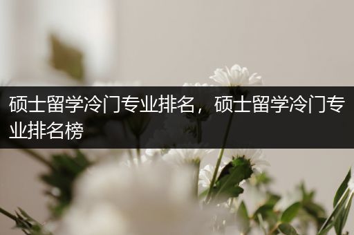 硕士留学冷门专业排名，硕士留学冷门专业排名榜