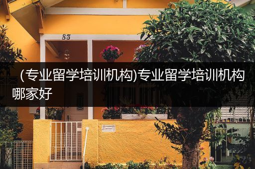 （专业留学培训机构)专业留学培训机构哪家好