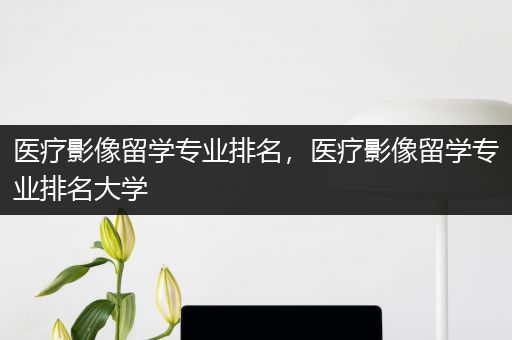 医疗影像留学专业排名，医疗影像留学专业排名大学