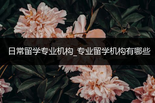 日常留学专业机构_专业留学机构有哪些