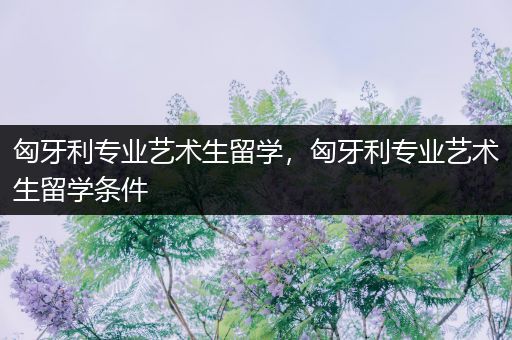 匈牙利专业艺术生留学，匈牙利专业艺术生留学条件