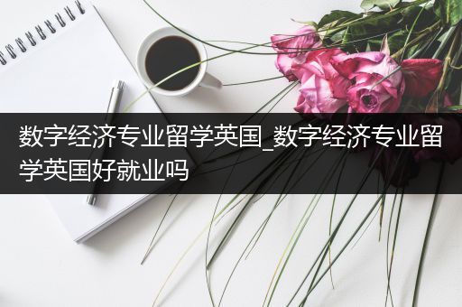 数字经济专业留学英国_数字经济专业留学英国好就业吗