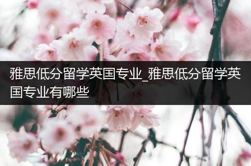 雅思低分留学英国专业_雅思低分留学英国专业有哪些