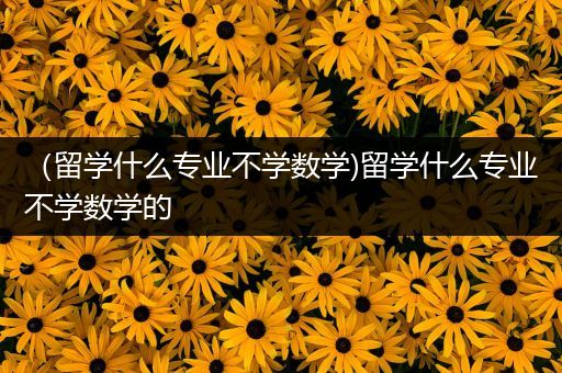 （留学什么专业不学数学)留学什么专业不学数学的