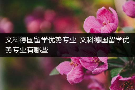 文科德国留学优势专业_文科德国留学优势专业有哪些