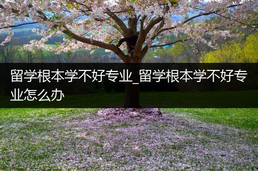 留学根本学不好专业_留学根本学不好专业怎么办