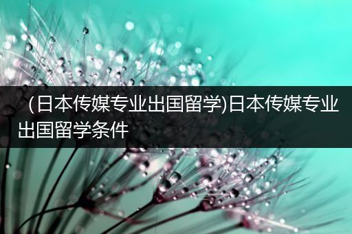 （日本传媒专业出国留学)日本传媒专业出国留学条件