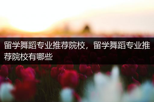 留学舞蹈专业推荐院校，留学舞蹈专业推荐院校有哪些