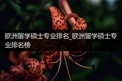 欧洲留学硕士专业排名_欧洲留学硕士专业排名榜