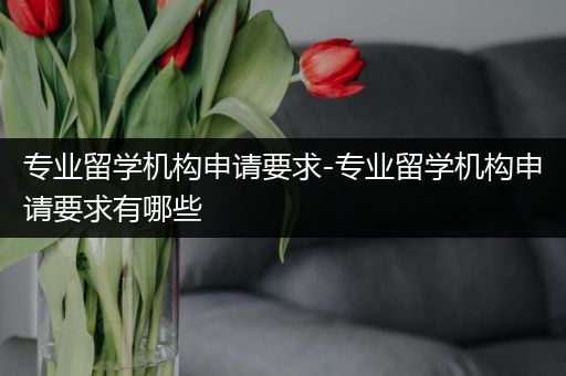 专业留学机构申请要求-专业留学机构申请要求有哪些