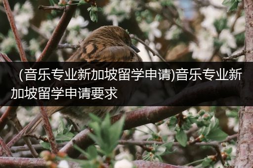 （音乐专业新加坡留学申请)音乐专业新加坡留学申请要求