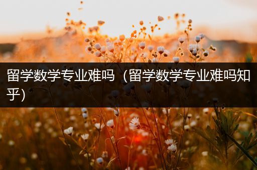 留学数学专业难吗（留学数学专业难吗知乎）