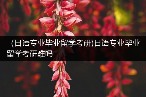 （日语专业毕业留学考研)日语专业毕业留学考研难吗