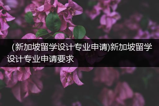 （新加坡留学设计专业申请)新加坡留学设计专业申请要求