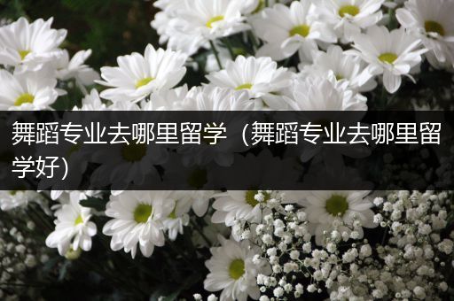 舞蹈专业去哪里留学（舞蹈专业去哪里留学好）