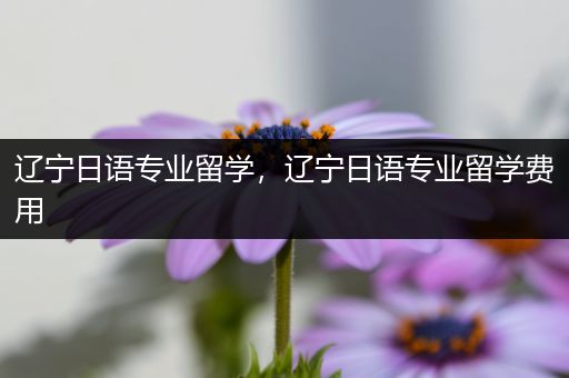 辽宁日语专业留学，辽宁日语专业留学费用