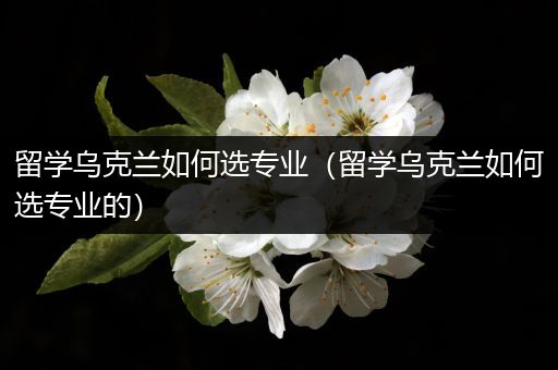 留学乌克兰如何选专业（留学乌克兰如何选专业的）