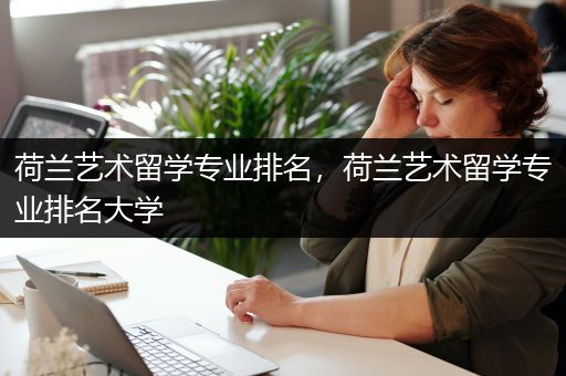 荷兰艺术留学专业排名，荷兰艺术留学专业排名大学