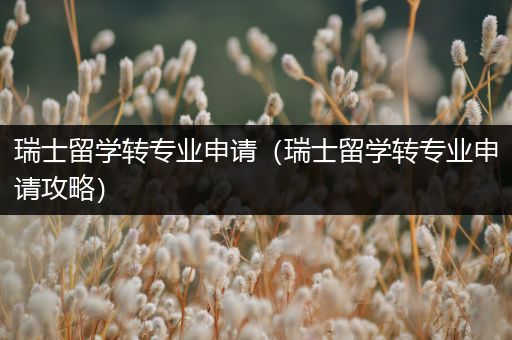 瑞士留学转专业申请（瑞士留学转专业申请攻略）