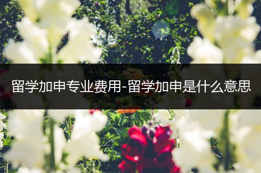 留学加申专业费用-留学加申是什么意思