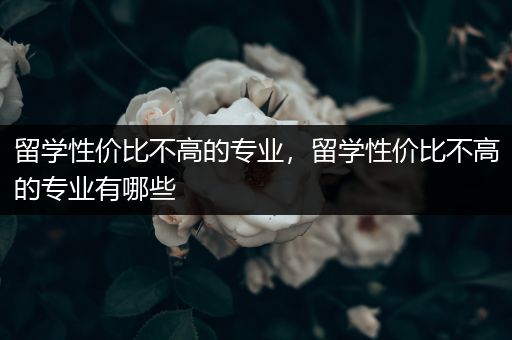 留学性价比不高的专业，留学性价比不高的专业有哪些