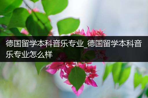 德国留学本科音乐专业_德国留学本科音乐专业怎么样