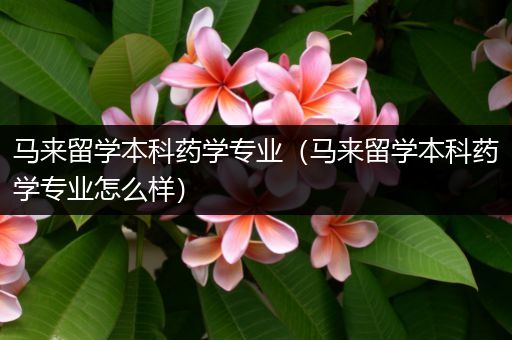 马来留学本科药学专业（马来留学本科药学专业怎么样）