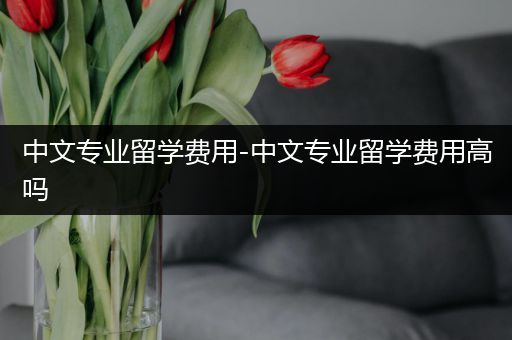 中文专业留学费用-中文专业留学费用高吗